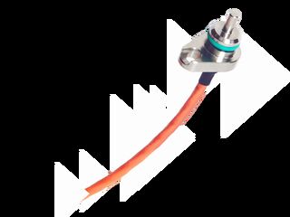 RTD with cable.